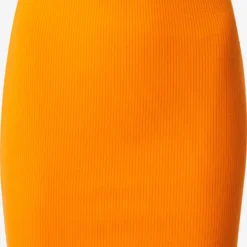 Mini Rokken Rok Giana Dames Oranje