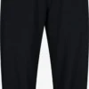 Zizzi Pantalons Loosefit Broek Jeasy Dames Marine -About You Winkel 3ac1e9abd8efc9fb50cd35394f487abe scaled