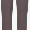 GOLDNER Pantalons Regular Broek Dames Bruin 2 GOLDNER Pantalons Regular Broek Dames Bruin -About You Winkel acdb0b012c69e145e21b928a20afd54d scaled
